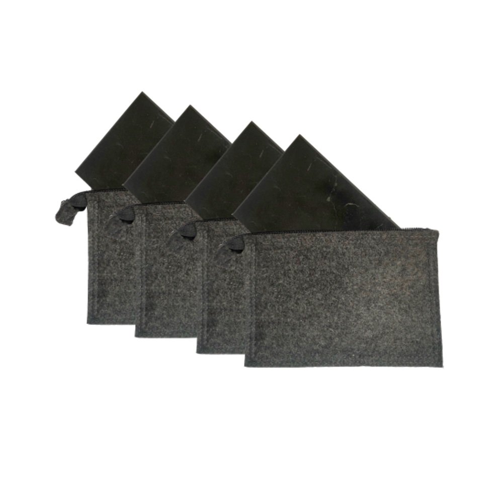 4 E⁫ssenceX Schungit Auto-Platten MAX für 4-Türer