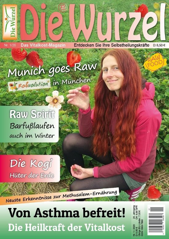 Anhebung der Schwingung durch höherwertige Nahrung u.a.