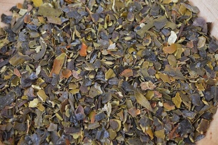 Bio Blasentang (Bladderwrack), 100 g