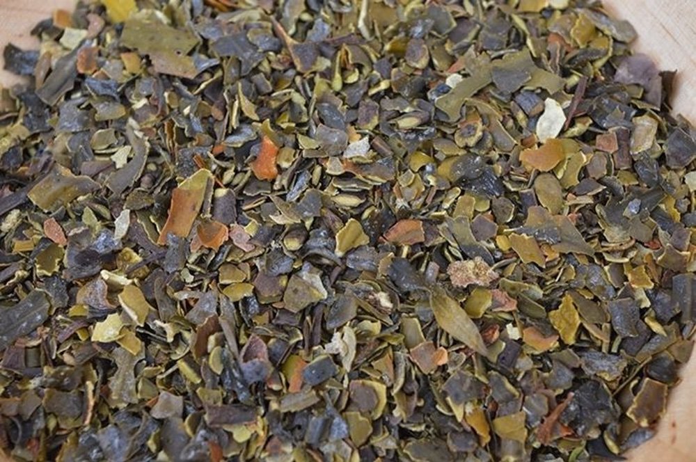 Bio Blasentang (Bladderwrack), 100 g