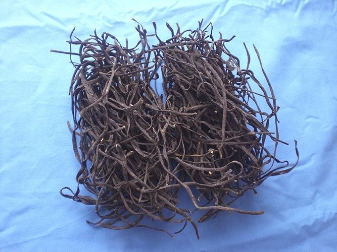 Bio Meeres Spaghetti 100g