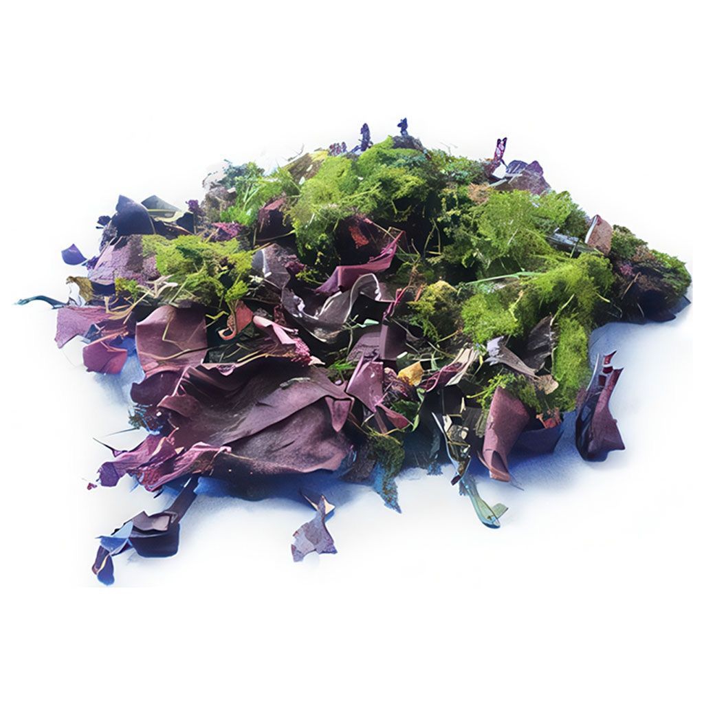 Bio Meeresgemuese 100g