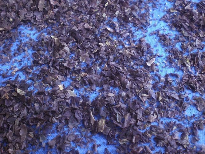Bio Ur Nori 100g 02