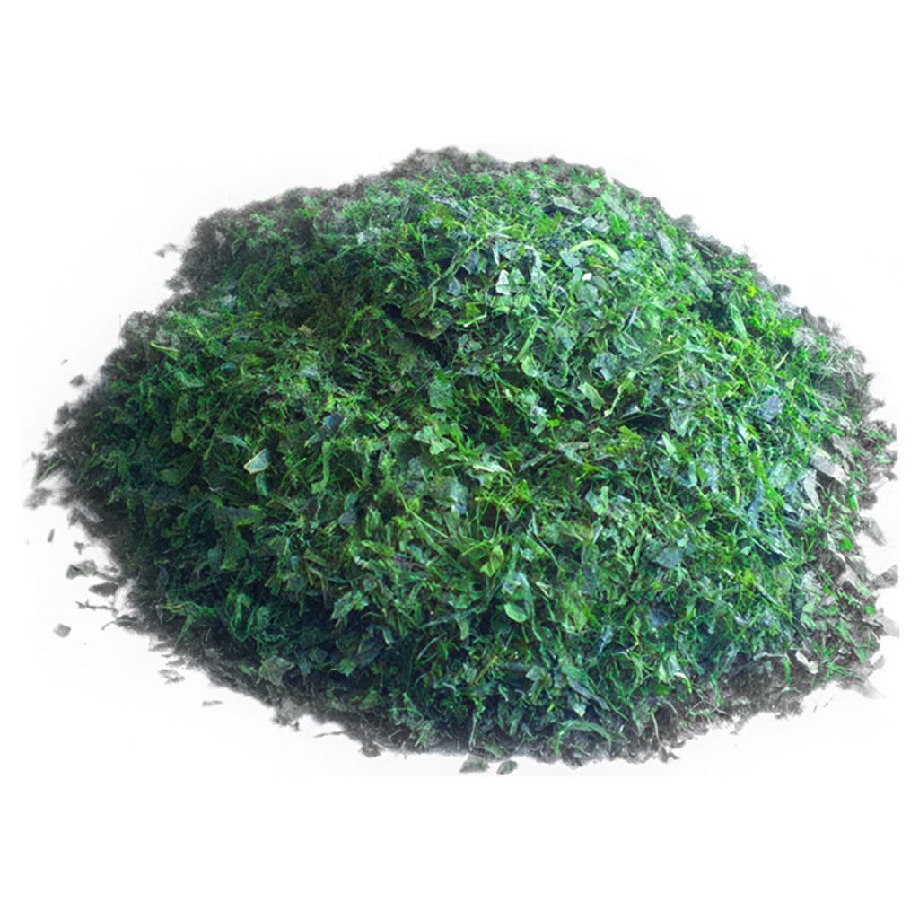 Bio Ur Spirulina Enteromorphia 100g 02