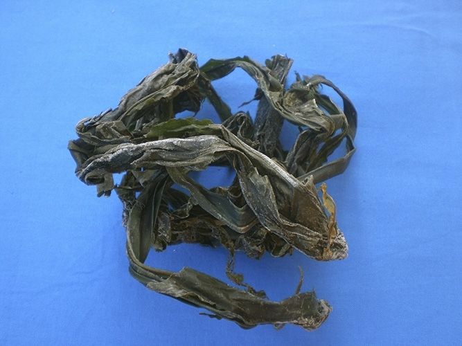 Bio Wakame 100g