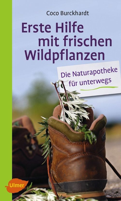 Erste Hilfe mit frischen Wildpflanzen – Coco Burckhardt