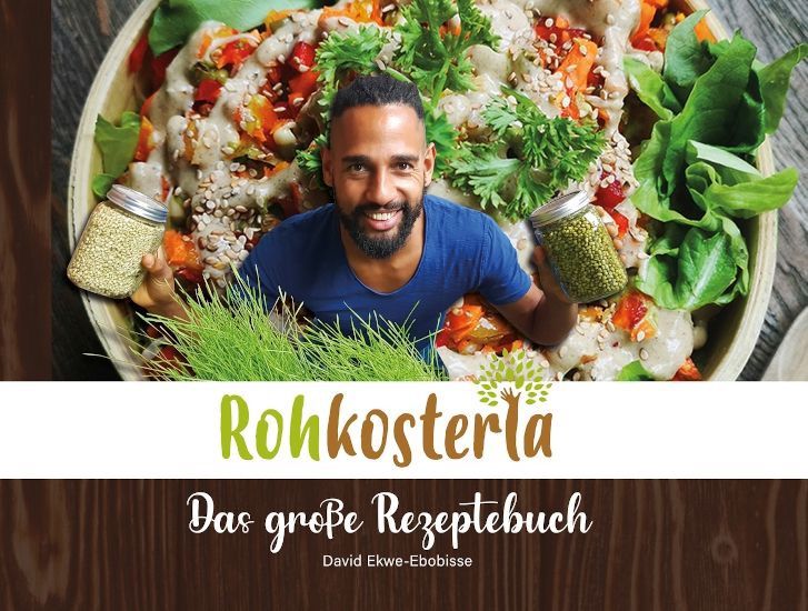 Rohkosteria – David Ekwe-Ebobisse