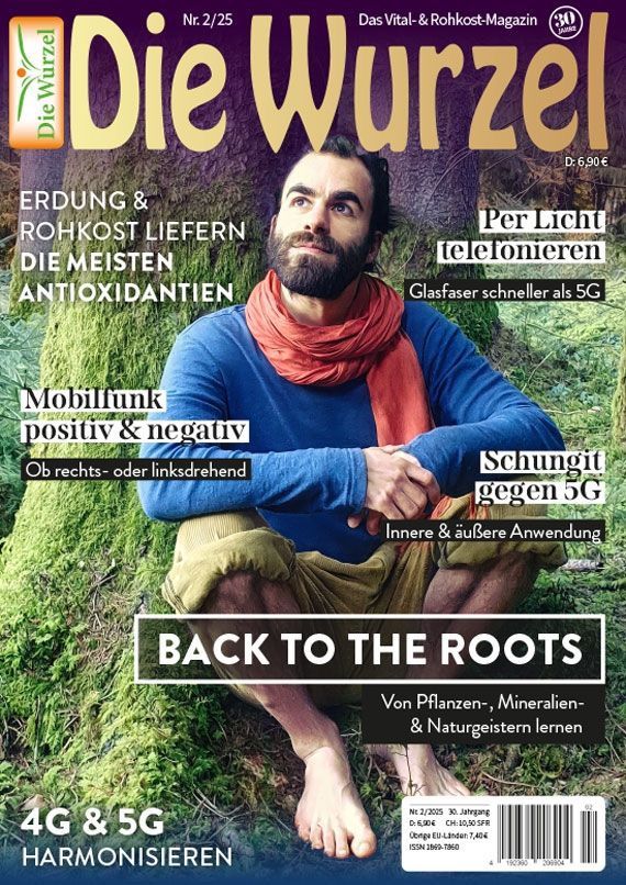 Schutz vor negativer Strahlung – Merlin Van Impe