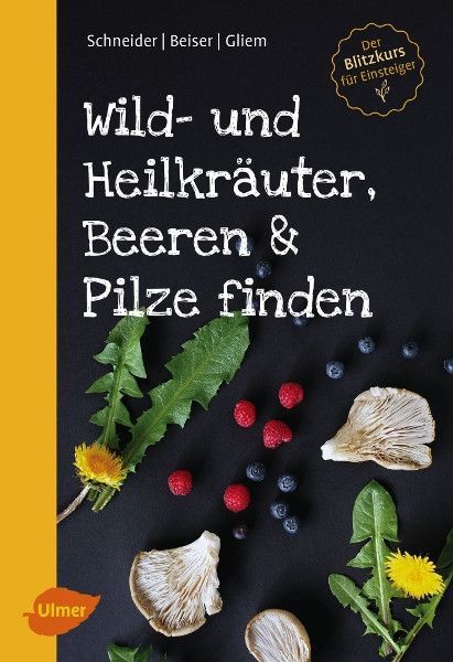 Wild- und Heilkräuter, Beeren und Pilze finden – Christine Schneider / Rudi Beiser / Maurice Gliem